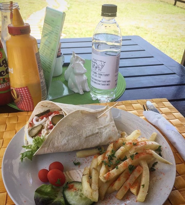 photo of Asher's Corner Cafe @ Ashers Farm Sanctuary Chick'n Mayo Sandwich shared by @daniellahirsch on  21 Sep 2019 - review