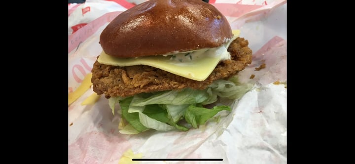 photo of Temple of Seitan Chicken burger shared by @giveafudge2day on  27 Nov 2019 - review