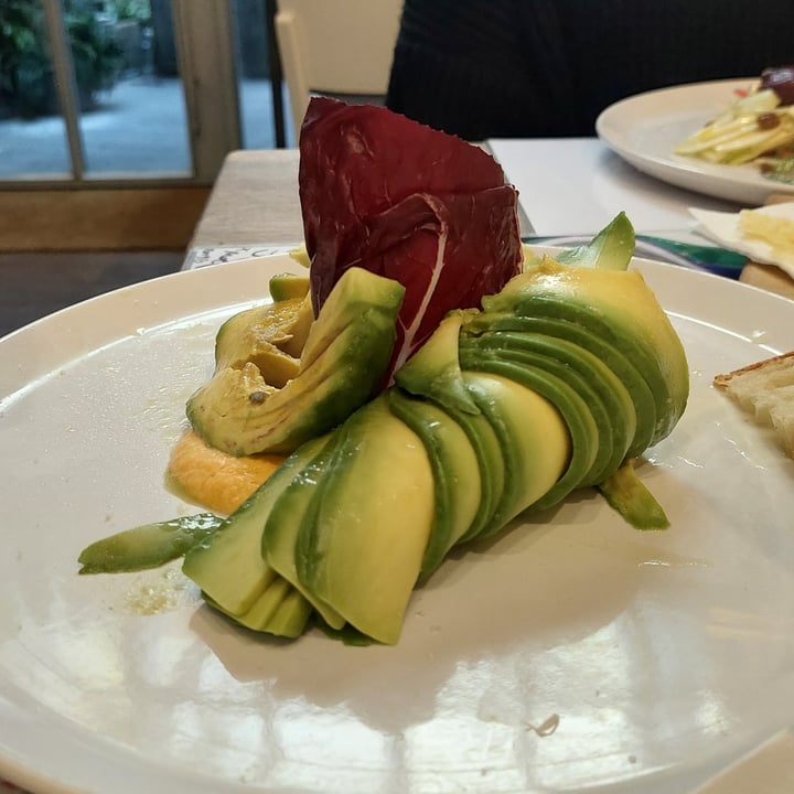 review photo of Brac Carpaccio di avocado shared by @elenamiche on 13 Feb 2022 - review