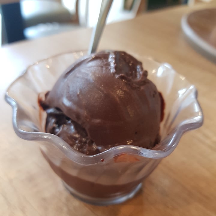 photo of Saute-San Golden Dark Chocolate Sorbet shared by @shanna on  02 Aug 2020 - review