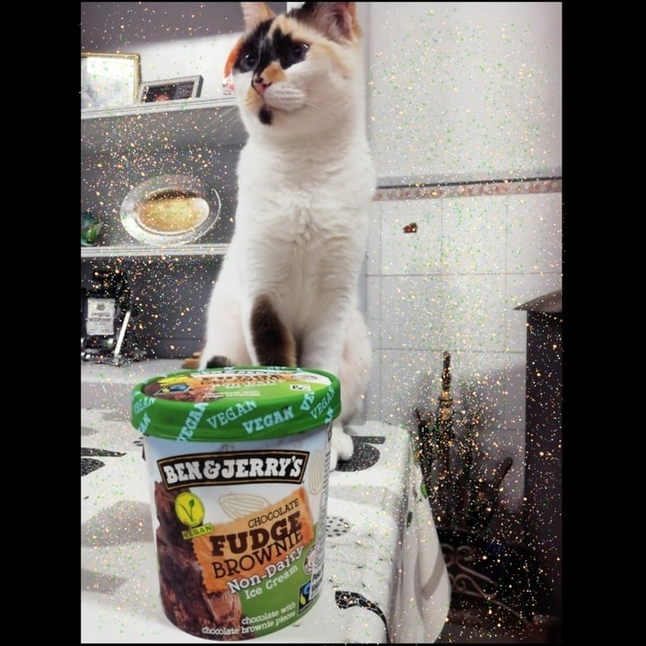 review photo of Ben & Jerry's Chocolate Fudge Brownie Non-Dairy Ice Cream shared by @anathedoglady on 05 Feb 2021 - review