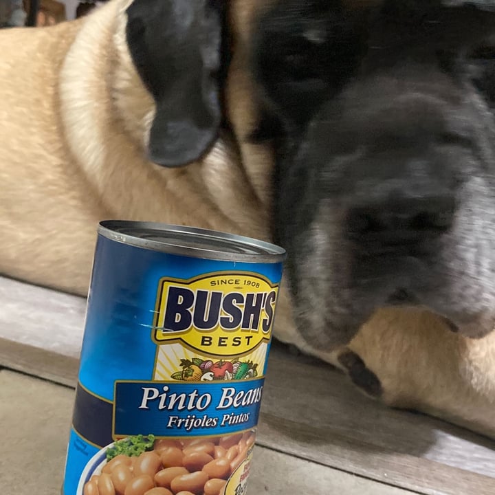 review photo of BUSH'S® Pinto beans shared by @mariejane56 on 22 Jan 2022 - review