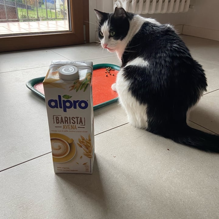 photo of Alpro alpro Barista Hafer shared by @fiachod on  17 Nov 2022 - review