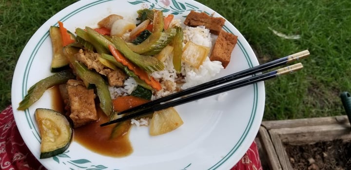 review photo of Bambu Asian Restaurant Thai basil stirfry shared by @amyleinen on 12 Sep 2018 - review