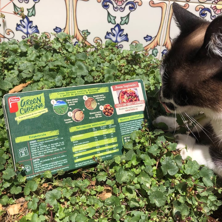 photo of Findus Albondigas De Proteina De Guisantes shared by @mxriw on  27 May 2021 - review