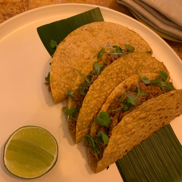 photo of Analogue Jackfruit Tacos shared by @turtleisland on  05 Dec 2021 - review