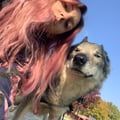 gessicaz @gessicaz profile image