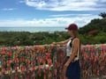 camicamelo @camicamelo profile image
