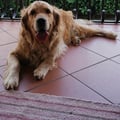 cloddi @cloddi profile image