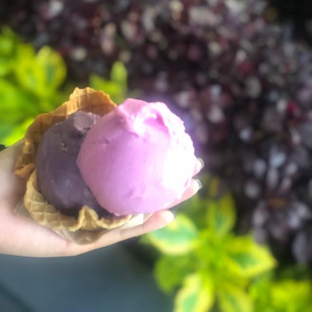 Photo of the dish “Helado De Fresa Pitahaya y Deseo(blueberries)”
