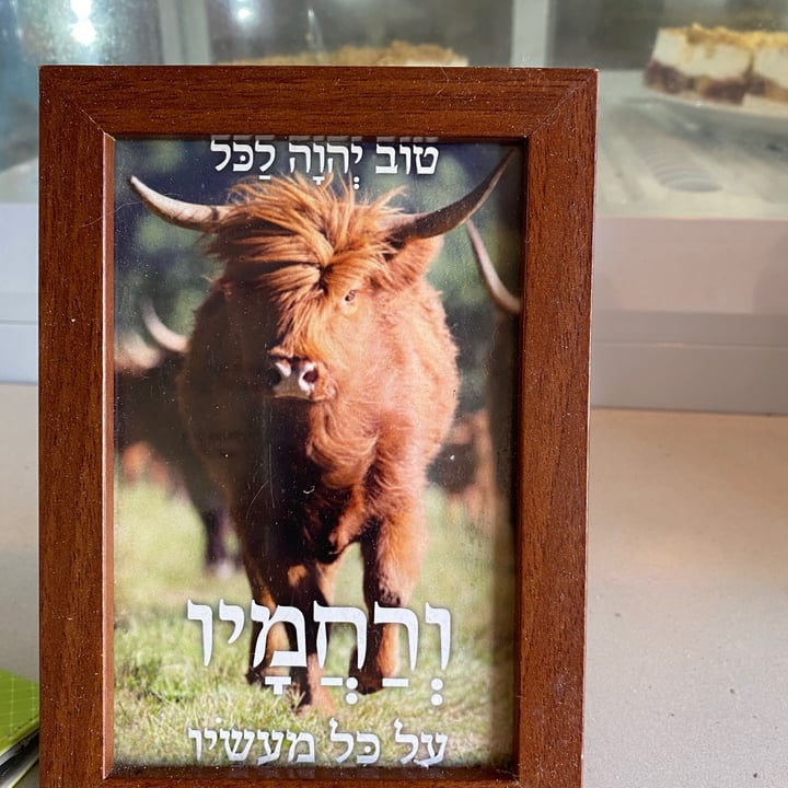 photo of חומוס Hummus Bar שניצלונים shared by @kerent10 on  25 Sep 2021 - review