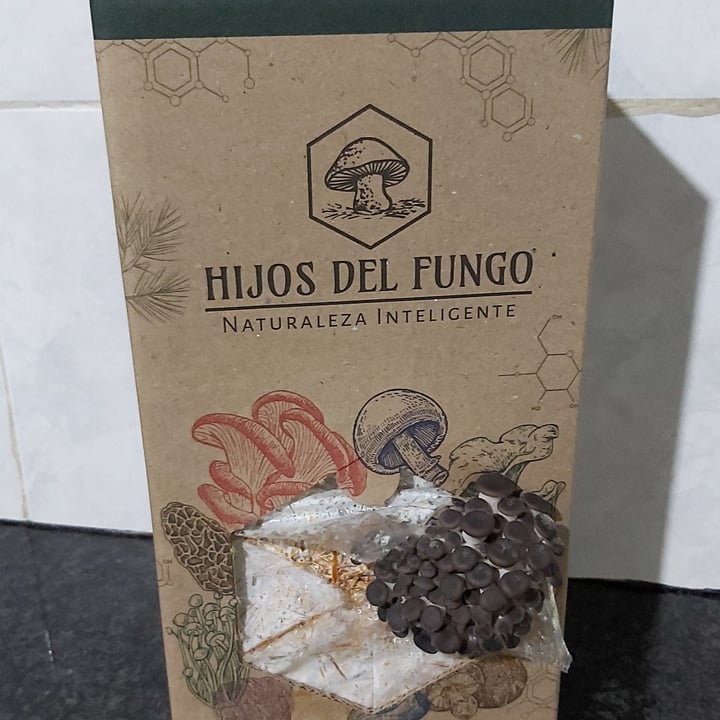 photo of Hijos del Fungo Kit de cultivo Girgolas Azules shared by @deniseroales on  03 Jan 2022 - review