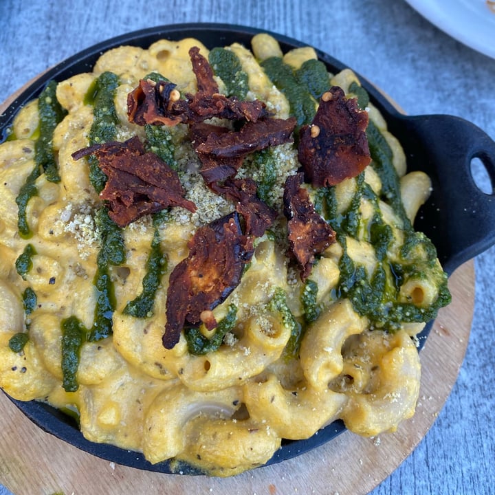 photo of Trilogy Sanctuary mac and cheese shared by @lilypearmoon on  18 Nov 2020 - review