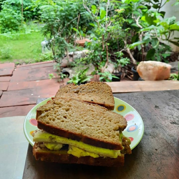 review photo of Rare Earth - The Organic Store Sandwich shared by @mumbaianimalsave on 09 Sep 2020 - review