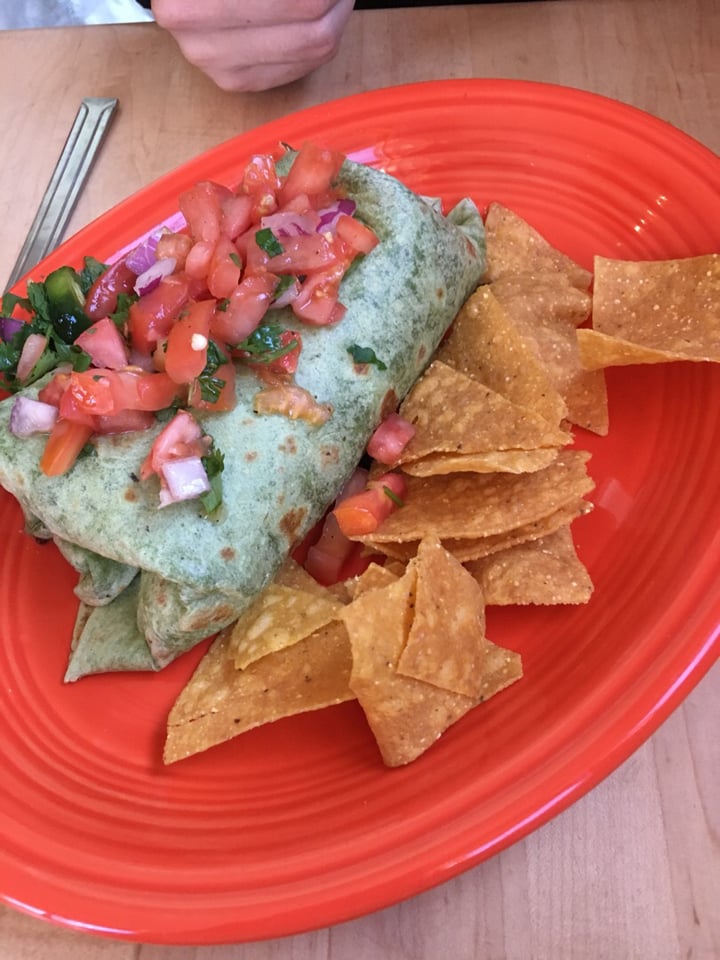 photo of Ed's Cantina & Grill Veggie Burrito shared by @lisseatsplants on  22 Jul 2019 - review