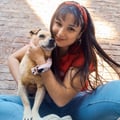 micol @micol profile image