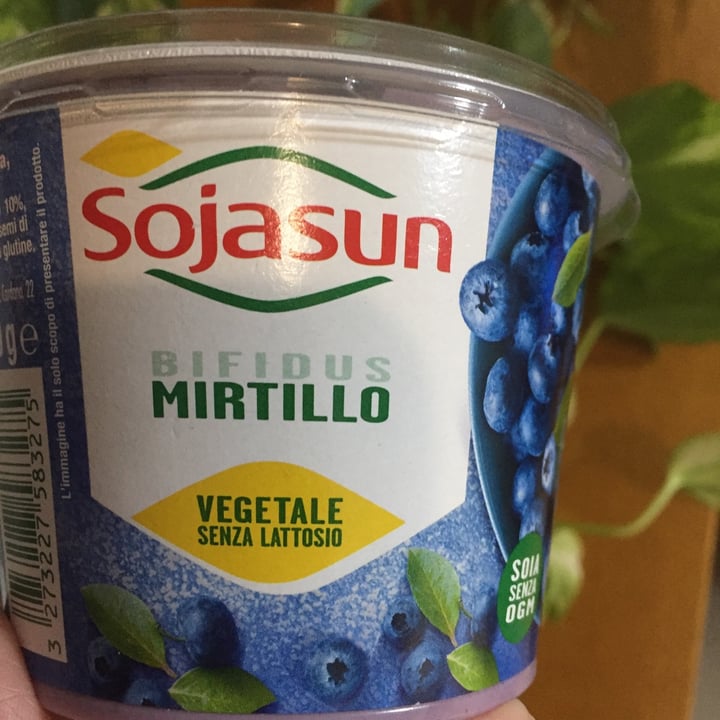 photo of Sojasun Yogurt Bifidus Mirtillo shared by @albivivi on  26 Nov 2021 - review