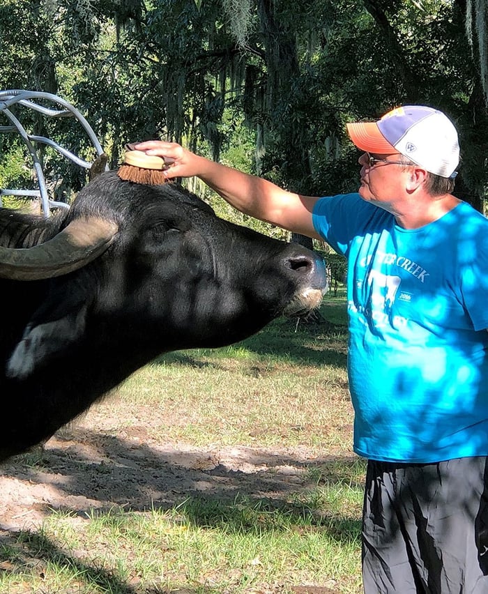 Critter Creek Farm Sanctuary