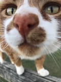 @roterhund profile image