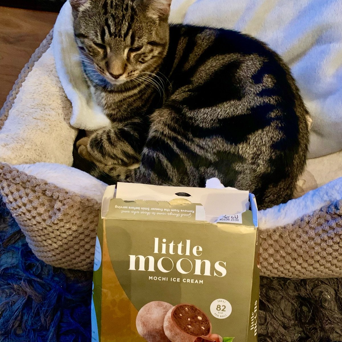 Little Moons Belgian chocolate & hazelnut mochi Reviews abillion