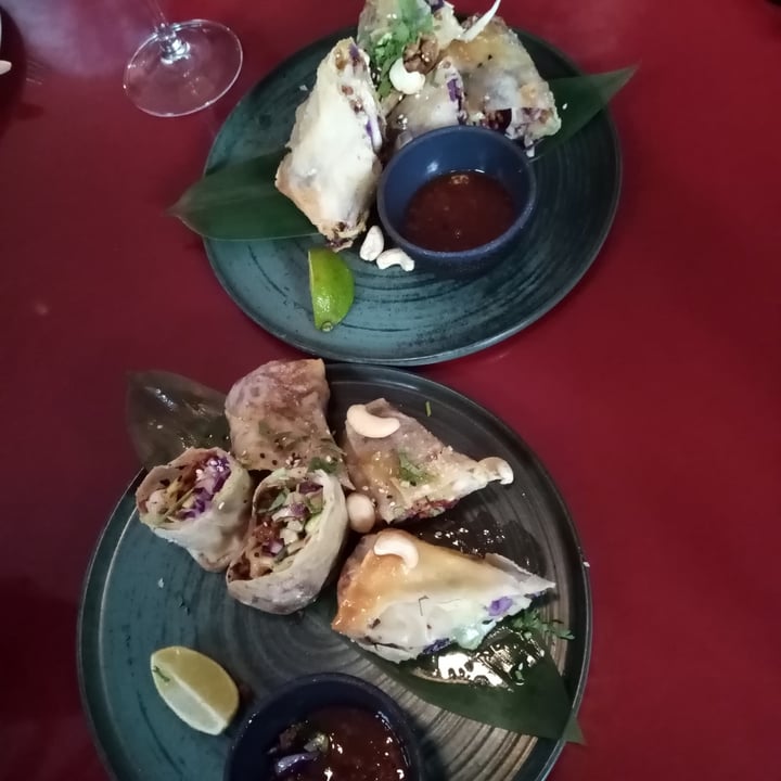 photo of Wild Food Rollitos Vietnamitas shared by @sanleeping on  30 Aug 2022 - review