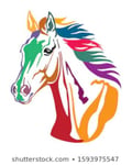 @camullano profile image