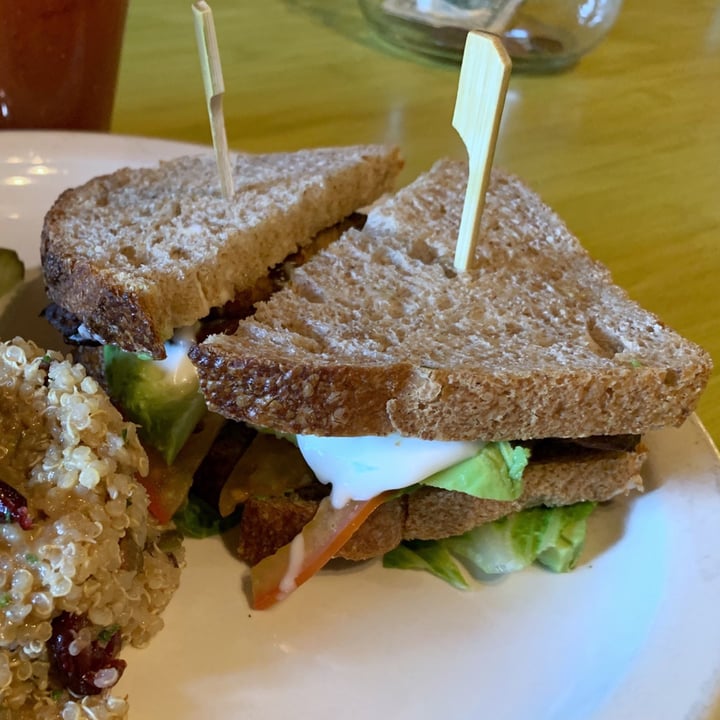 photo of Green Owl Cafe TLT with Avocado shared by @stphsmth on  12 Nov 2018 - review