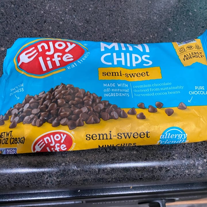 photo of Enjoy Life Dark Chocolate Morsels shared by @plants4me on  29 Nov 2021 - review