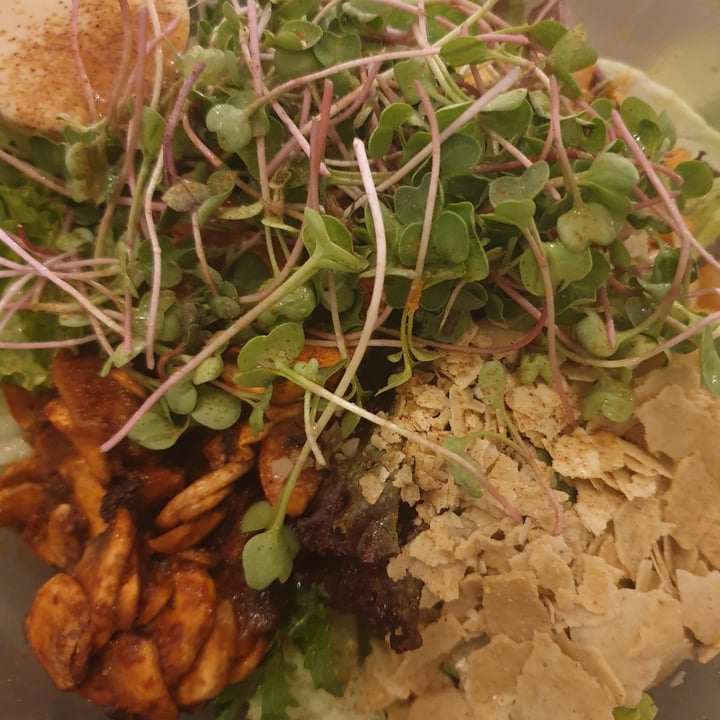 photo of Alchemy Salad Bar shared by @littleredmushroom on  06 May 2021 - review