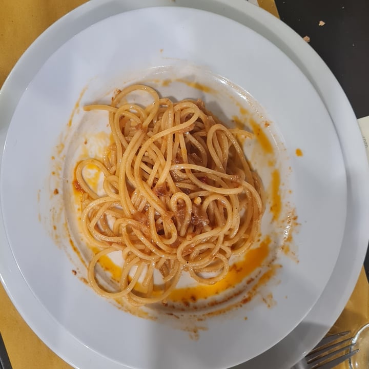 photo of Trattoria Da Zia Allari Spaghetti al Friggione shared by @brunopoli on  24 Jun 2022 - review