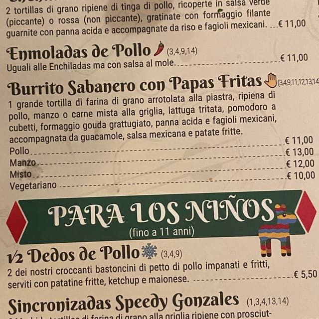 Foto del piatto “Burrito vegano con verdure cotte e crude e patatine”