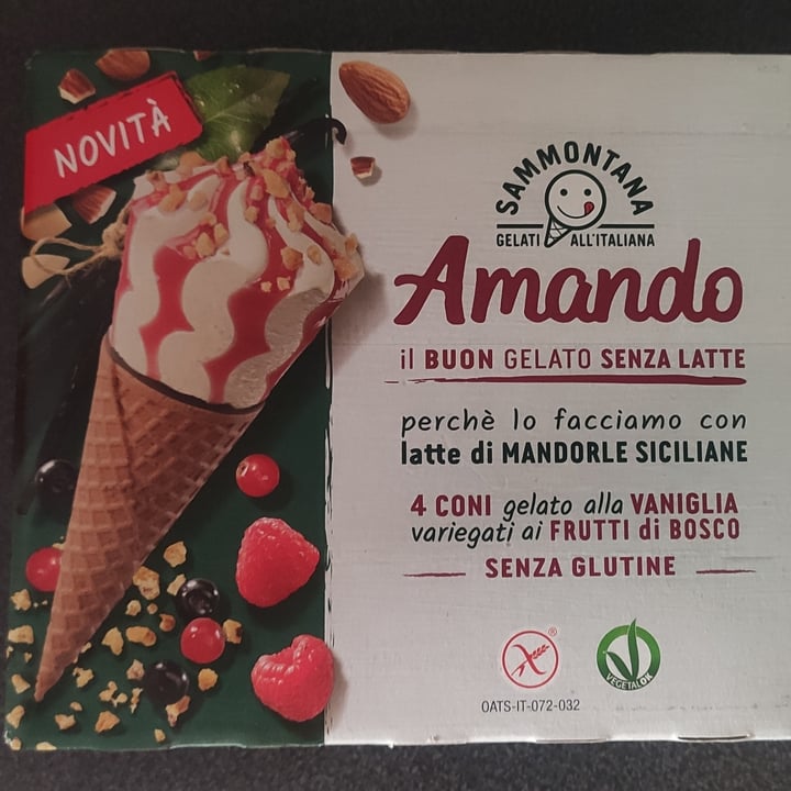 review photo of Sammontana Amando Coni Vaniglia Variegato Ai Frutti Di Bosco shared by @elisa3 on 06 Aug 2022 - review