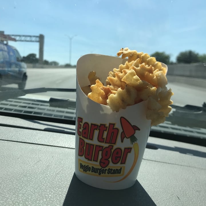 photo of Earth Burger Fries shared by @ihmsmaddy on  01 Apr 2020 - review