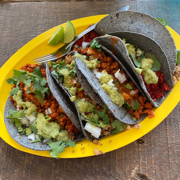 photo of Mango Blues Vegan tacos (Delivery and Pick-up) Taco de bistec shared by @curvycarbivore on  11 Mar 2021 - review