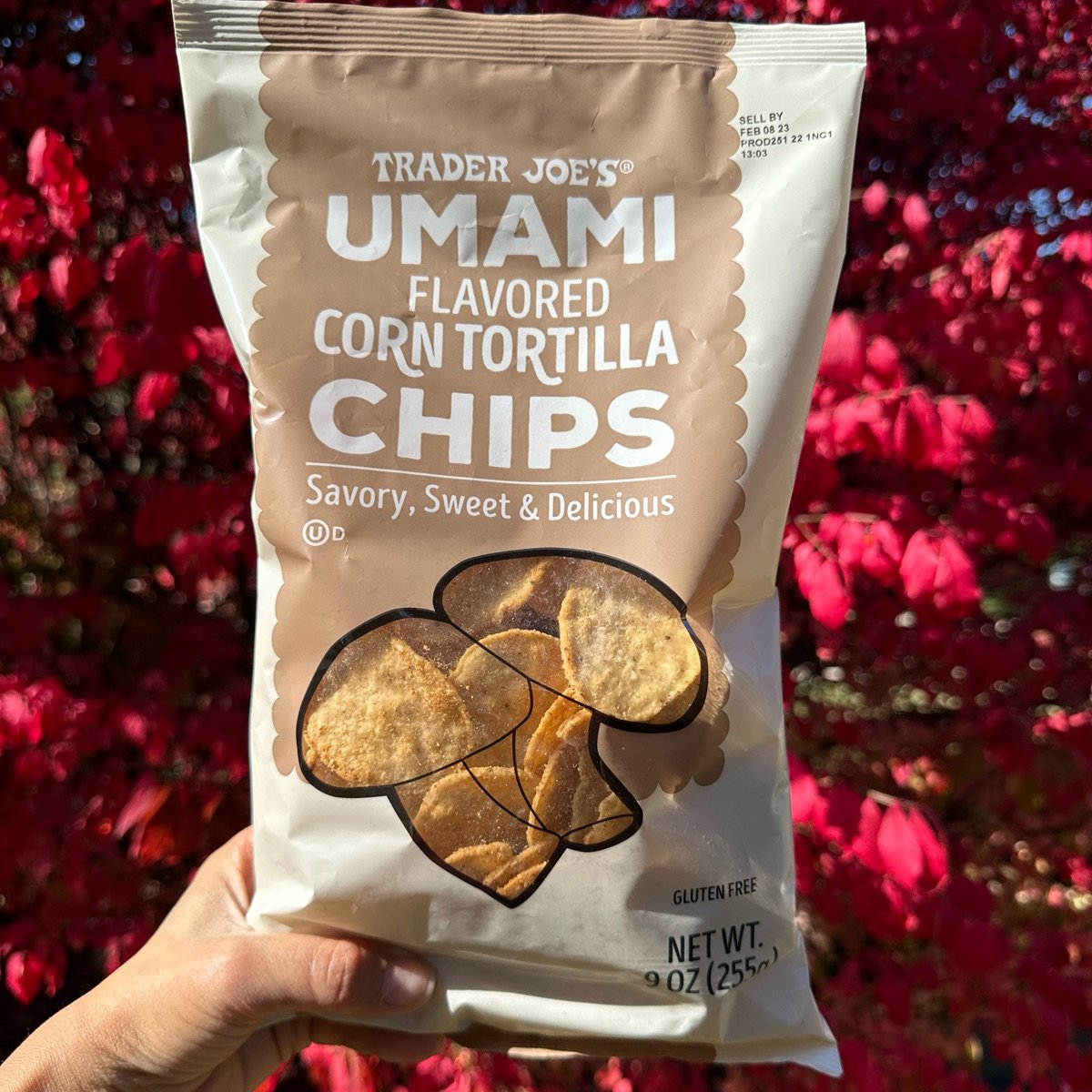 Trader Joe's Umami Flavored Corn Tortilla Chips Reviews abillion