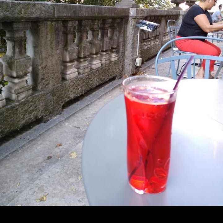 review photo of Museum of Fine Arts of Lyon Syrup Aux Fraise shared by @fararodriguez on 13 Nov 2020 - review