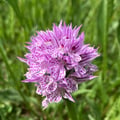 irebo02 @irebo02 profile image