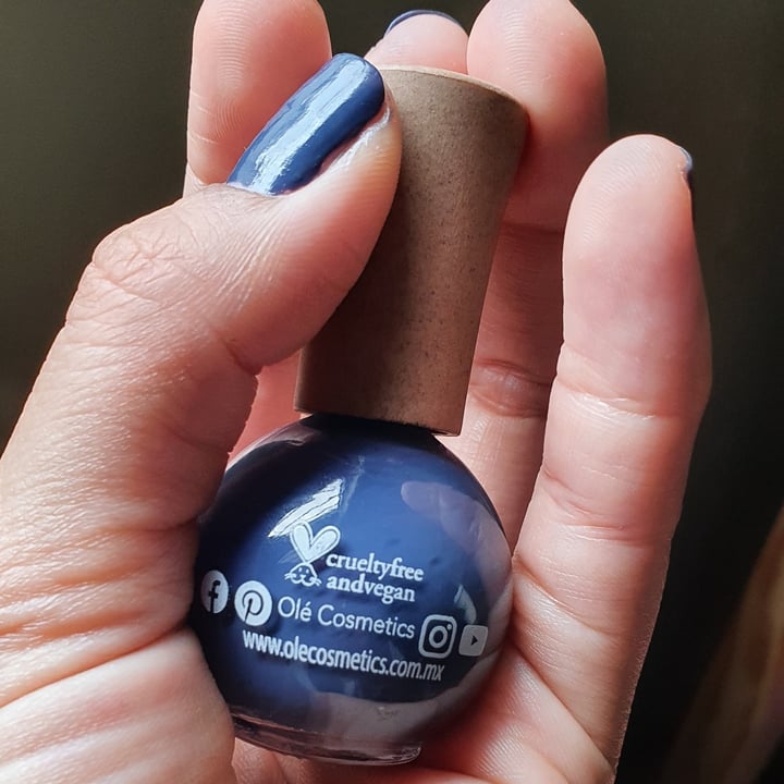 photo of Olé! Cosmetics Esmalte de uñas color Morado shared by @monikichi on  23 Oct 2021 - review