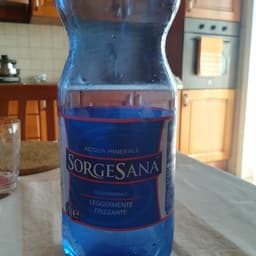 sorgesana