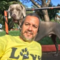 srequejo @srequejo profile image