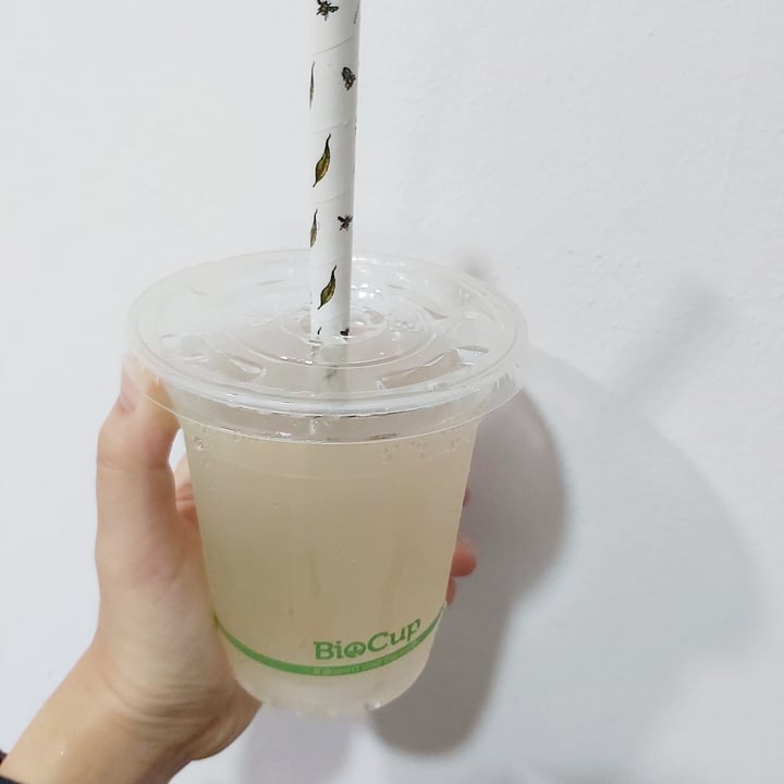 photo of Everyday Vegan Cafe Ginger Mint Lemonade shared by @herbimetal on  16 Feb 2022 - review