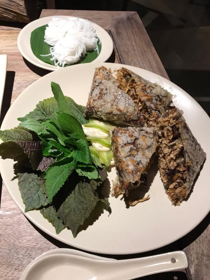 photo of Hum Vegetarian, Lounge & Restaurant Squared Deep Fried Spring Rolls shared by @aparnasa on  22 Dec 2019 - review