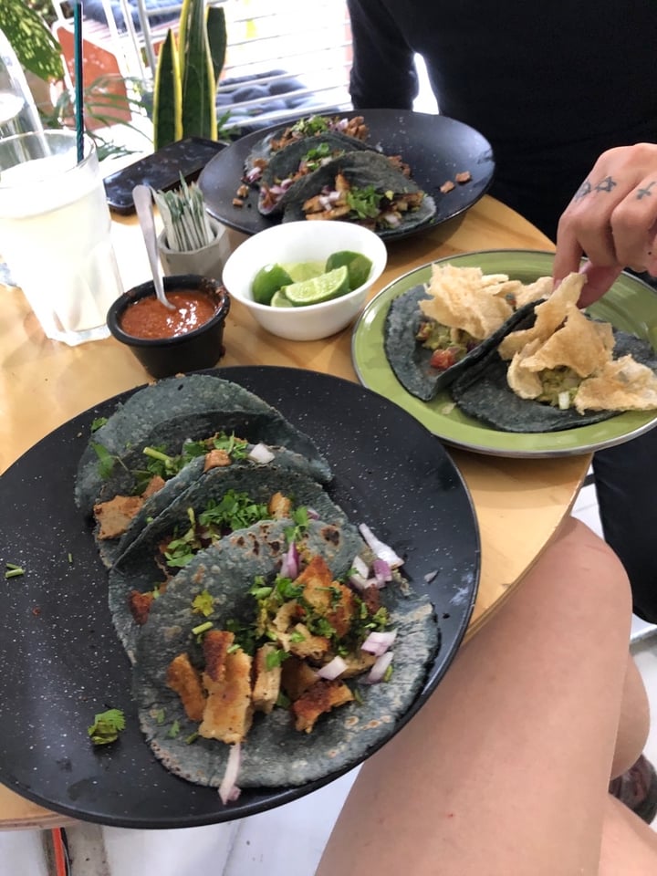 photo of Choclo y Maíz Cocina vegana Tacos shared by @vegannorteno on  03 Jan 2020 - review