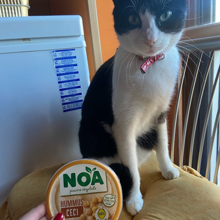 photo of Noa Hummus ceci shared by @valeeeematteiiii04 on  14 Nov 2022 - review