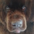 jformica @jformica profile image