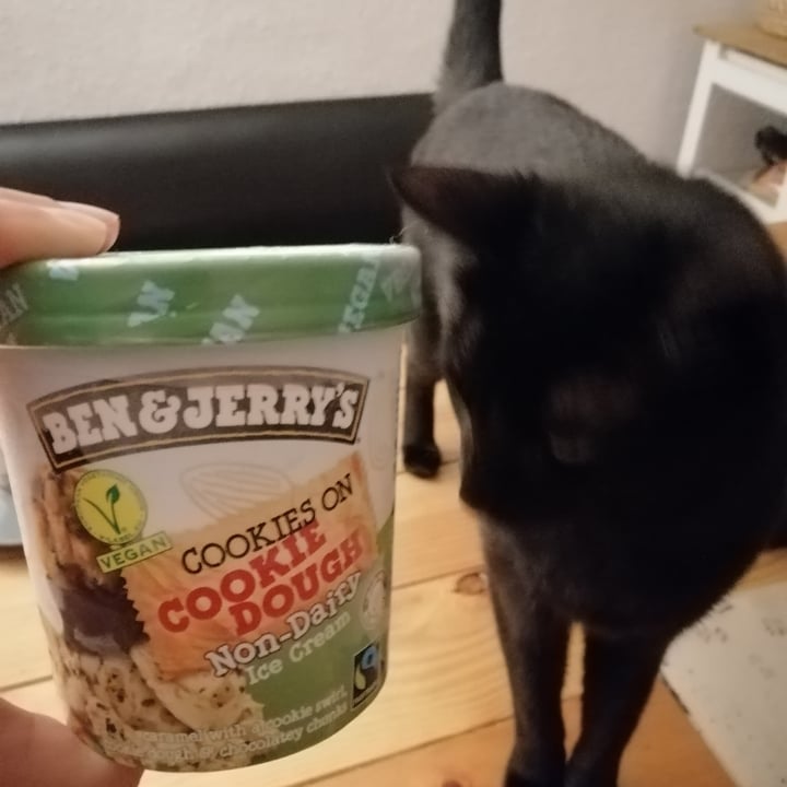 photo of Ben & Jerry's Chocolate Chip Cookie Dough Non-Dairy Frozen Dessert shared by @caritouy on  02 Feb 2021 - review