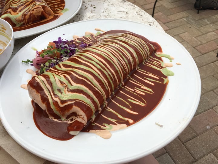 photo of Village Taco Rollin Fatties with chik'n shared by @lisseatsplants on  06 Apr 2019 - review