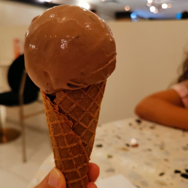 Photo of the dish “Salted Chocolate Chip Ice Cream”