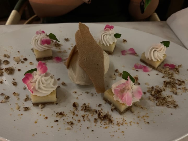 review photo of Plant Miami Sunflower seed risotto shared by @andreamarie on 08 Dec 2019 - review