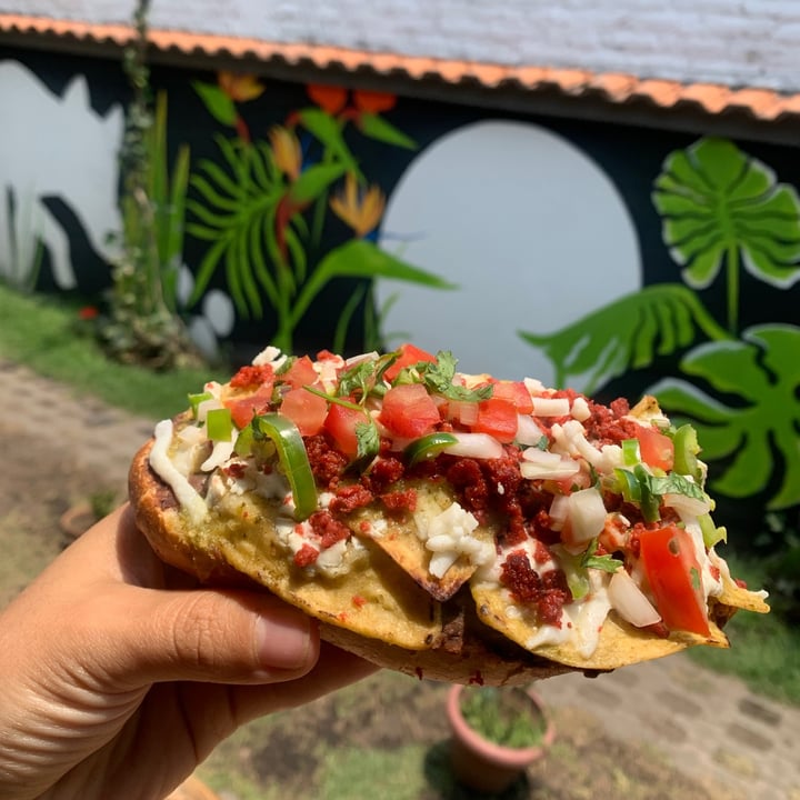 photo of Pulsus Molletes shared by @scarlettvegana on  19 Apr 2021 - review